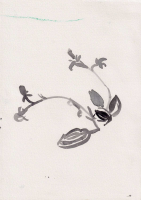 http://www.soerenhiob.com/files/gimgs/th-99_neue scanns februar 5 13.jpg